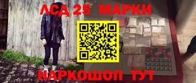 МДПВ Владикавказ