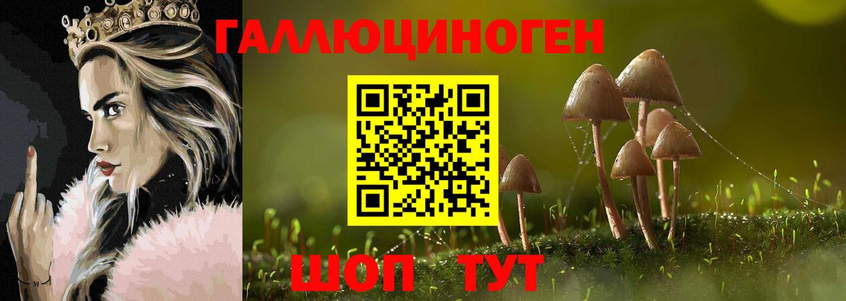 Кумертау  Галлюциногенные грибы Psilocybe  Вход с VPN 